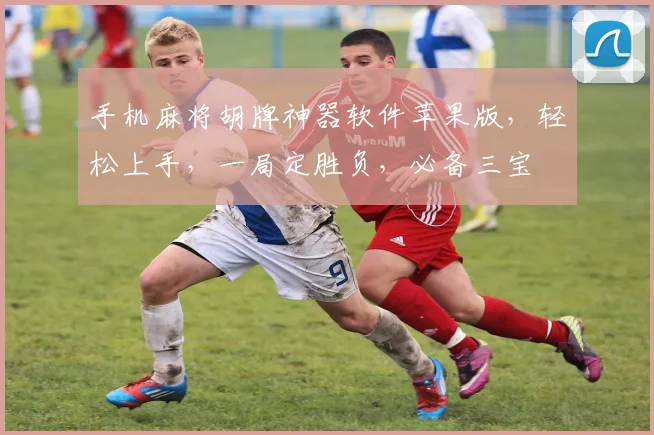 手机麻将胡牌神器软件苹果版，轻松上手，一局定胜负，必备三宝