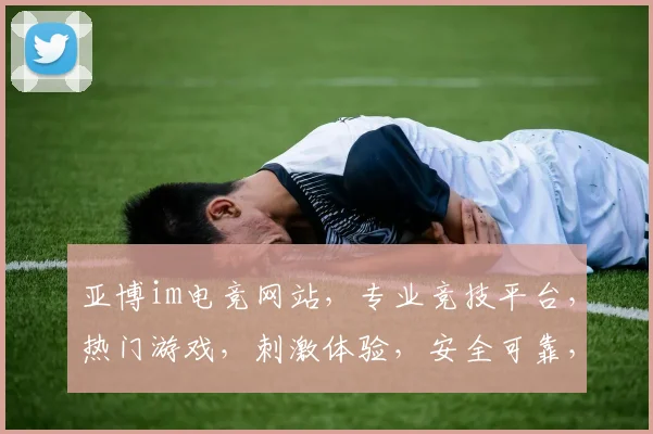 亚博im电竞网站，专业竞技平台，热门游戏，刺激体验，安全可靠，值得信赖，邀您共享竞技乐趣