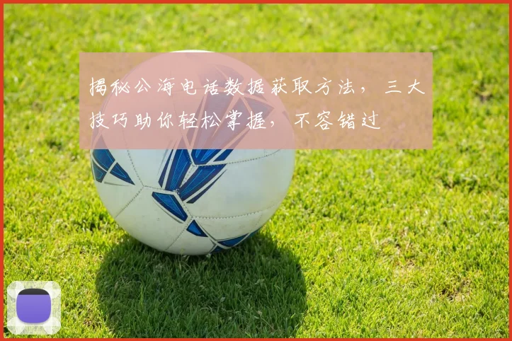 揭秘公海电话数据获取方法，三大技巧助你轻松掌握，不容错过