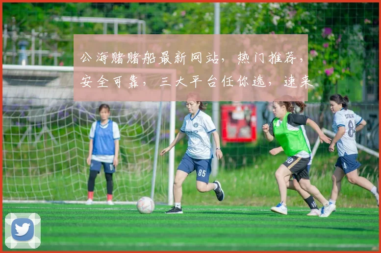 公海赌赌船最新网站，热门推荐，安全可靠，三大平台任你选，速来体验